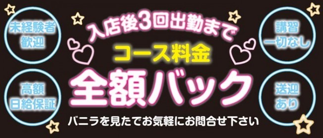 ドMなバニーちゃん名古屋・池下（ドエムナバニーチャンナゴヤイケシタテン）の募集詳細｜愛知・今池の風俗男性求人｜メンズバニラ