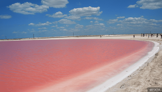 メキシコのピンクレイクが凄いッ‼︎♡世界中から押し寄せるInstagram映えスポット☆☆東日本ベスト3代表☆カリスマ講師のお菓子・パン教室Diary