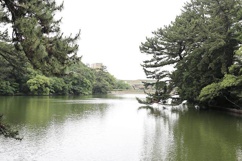 大池公園 子連れで楽しむ！遊具にピクニック、桜の花見、駐車場情報についてまめピヨblog
