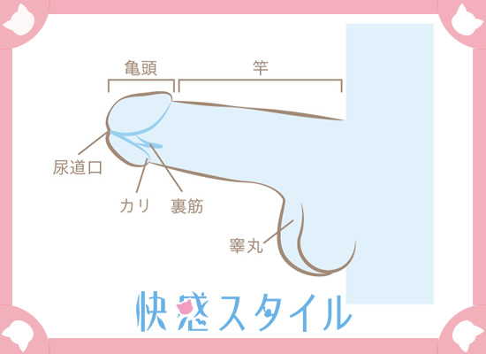 徹底図解】男が思わず