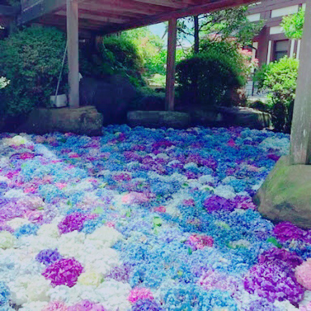 糸島エリアへインスタ映え旅に行ってきた！夫婦岩・ヤシの木ブランコ・＃ジハングンを巡る九州ラボ