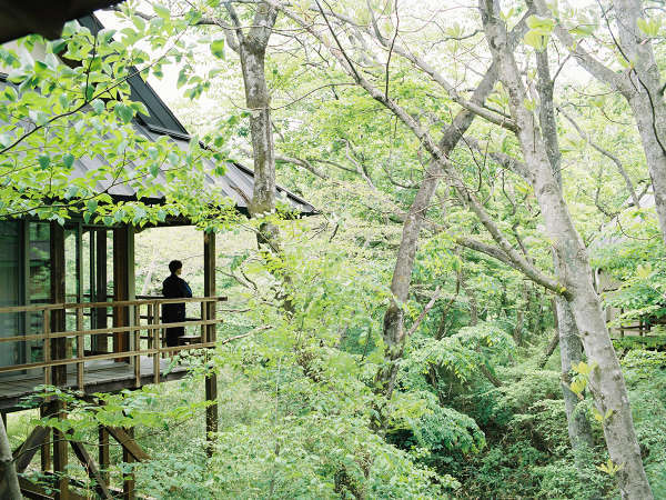 温泉山荘 だいこんの花 - 宿泊予約は【じゃらんnet】