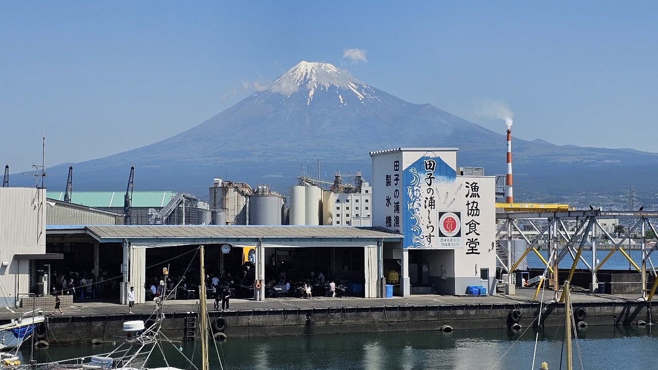 獲れたてぷりぷりの生しらす丼が食べられる！田子の浦港 漁協食堂 アクセス・駐車場・メニュー・注文方法