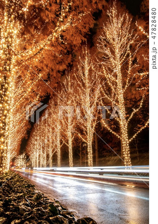 ロームのイルミネーション 2014年京都旅屋