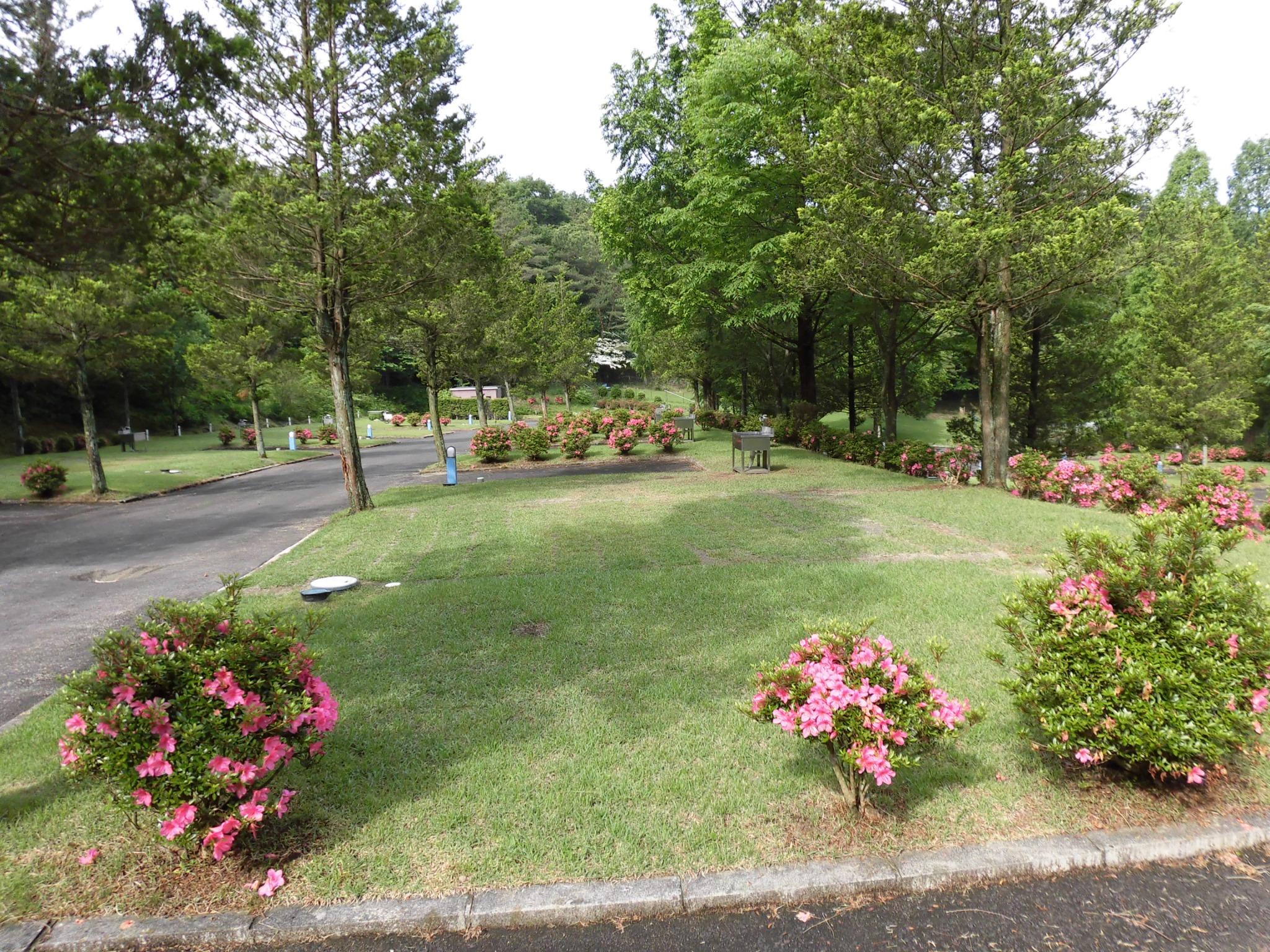 キャンプサイトぽんぽこの森ファミリーキャンプ場