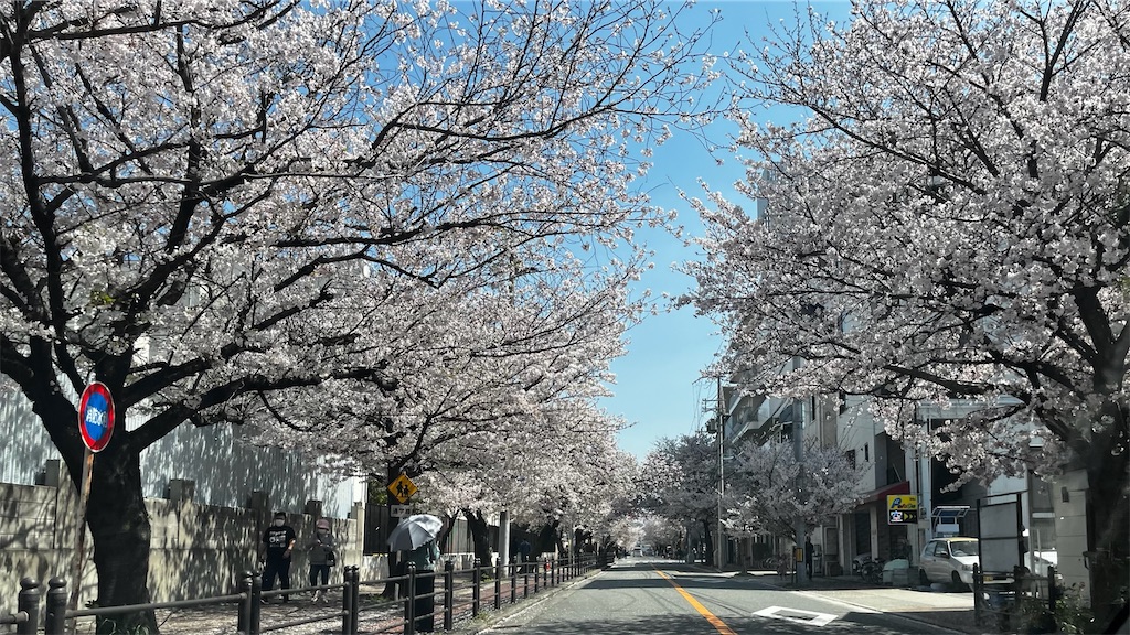 桜街道のジムおすすめ6選｜料金比較表・評判付き