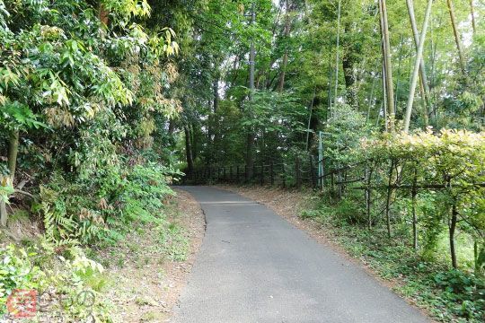 中西部の舗装されていない未舗装の道路で人通りが少ない道路, 従う, 旅行が少ない,