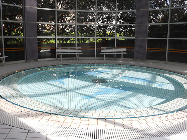 七ヶ浜の桜 アクアリーナ 美味しいのも大友えみ子のブログ