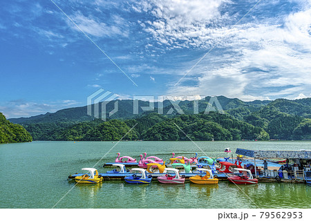 相模湖をスワンボートで遊覧: こころの日曜日