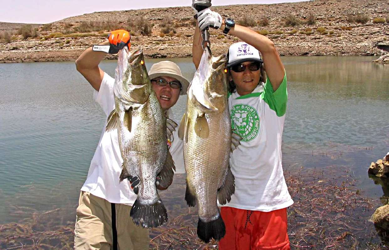 アスワンハイダムの大きさを実感し、ナイル砂漠のサラサラな砂をゲット-エジプト旅行記⑪