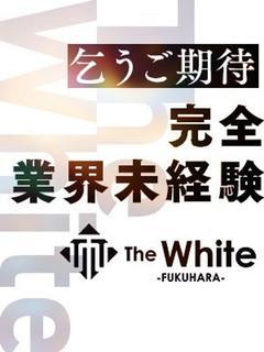 出勤情報｜神戸福原のソープランドAmateras（アマテラス）スマホ版