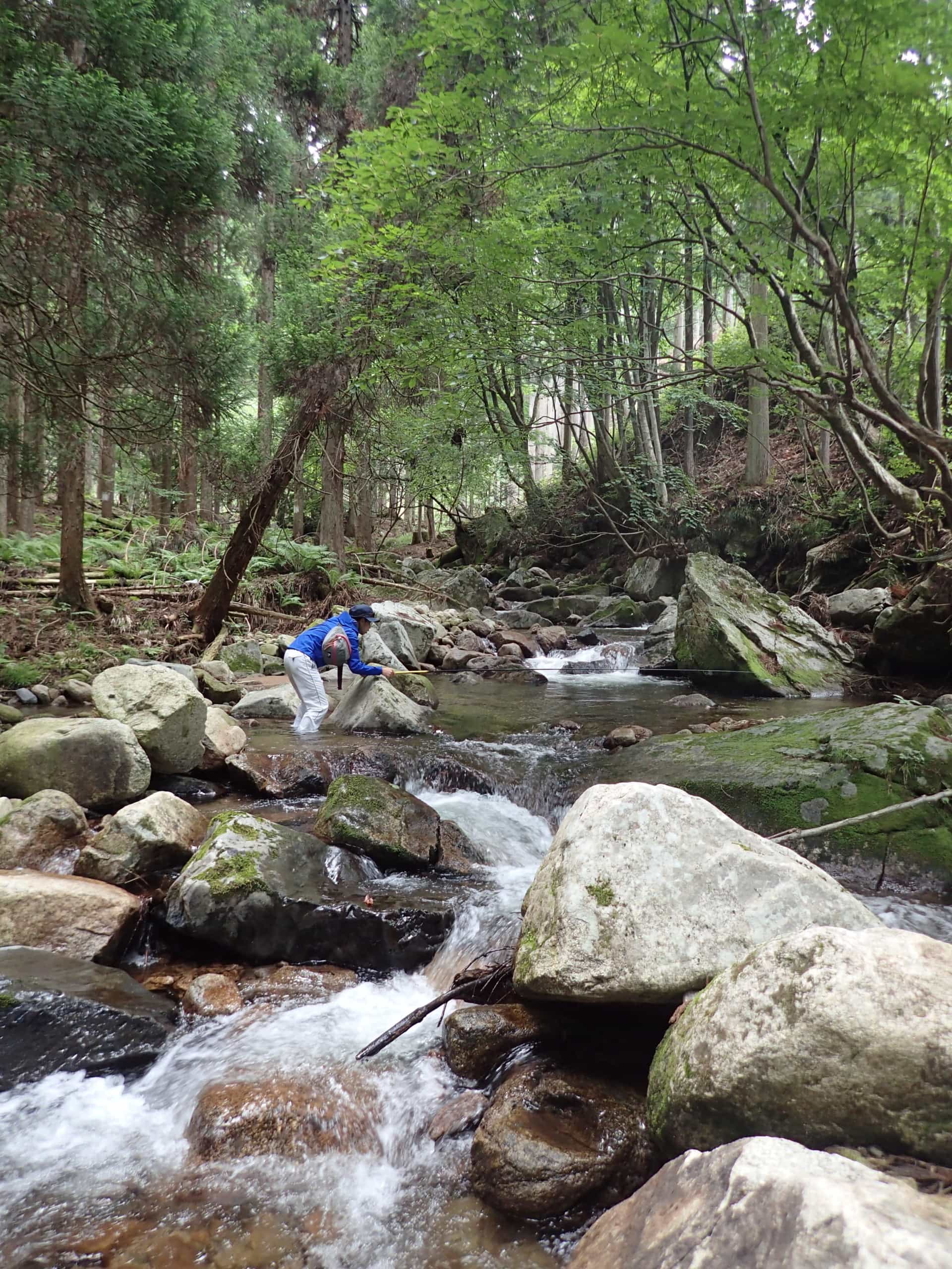 吉野川上流漁協」 三好市-各種団体 施設-〒778-0001 の地図