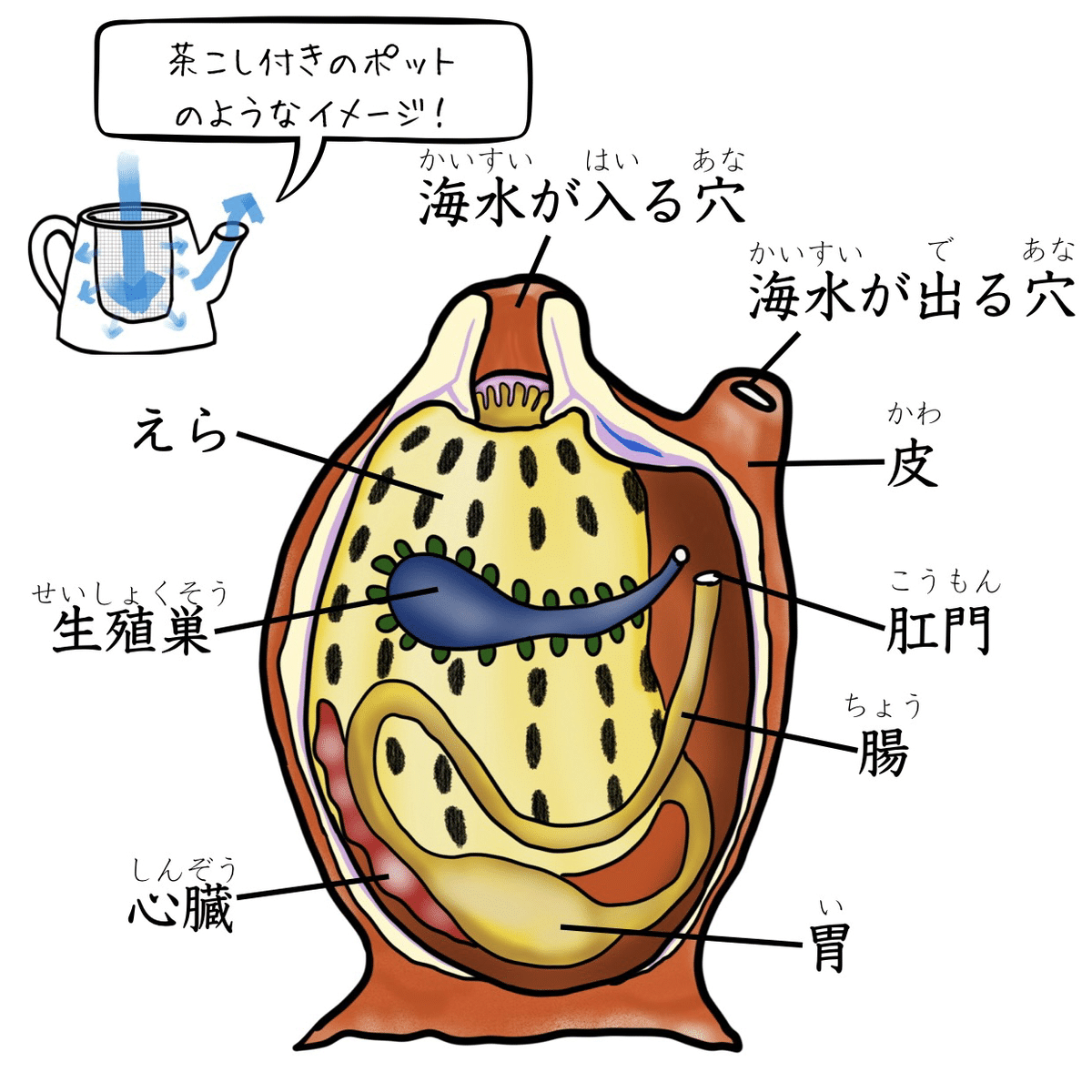 Puccho | 【鶏匠