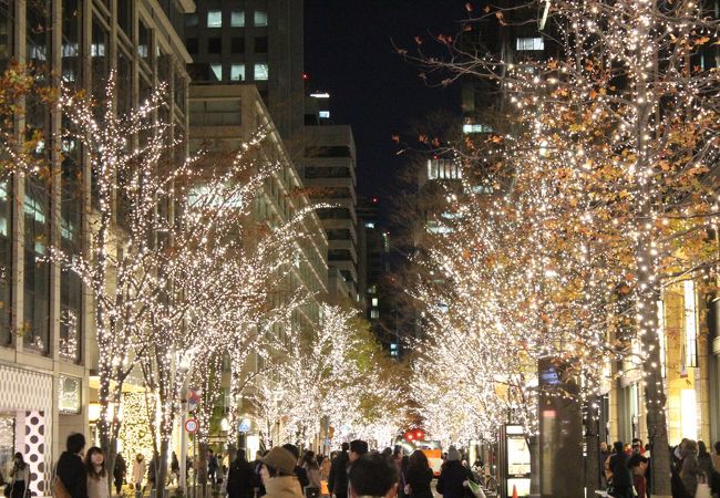 24to weddingのスタッフブログ 丸の内イルミネーションPhotorait