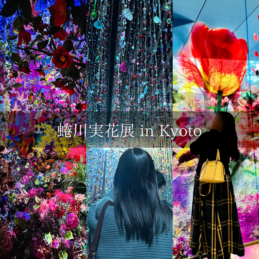 京都MAP 清水寺周辺マジックアワー 窯元の市川屋珈琲でフルーツサンド