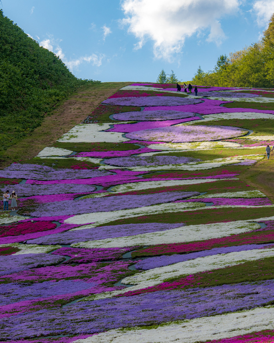 八甲田 芝桜 奥入瀬渓流 十和田湖