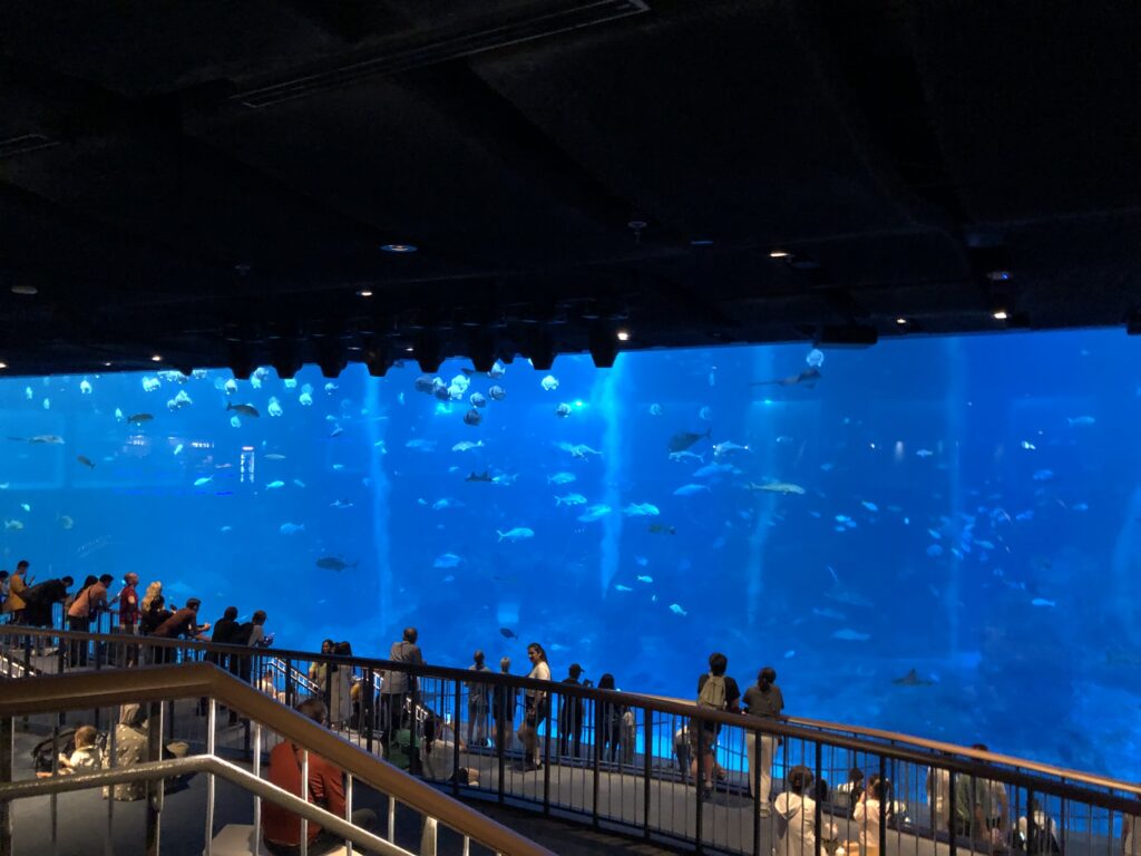 2025 シンガポールのオーシャナリウム シー・アクアリウム