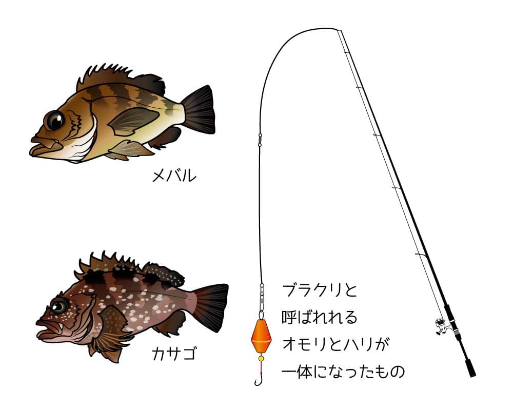 テトラの穴釣り
