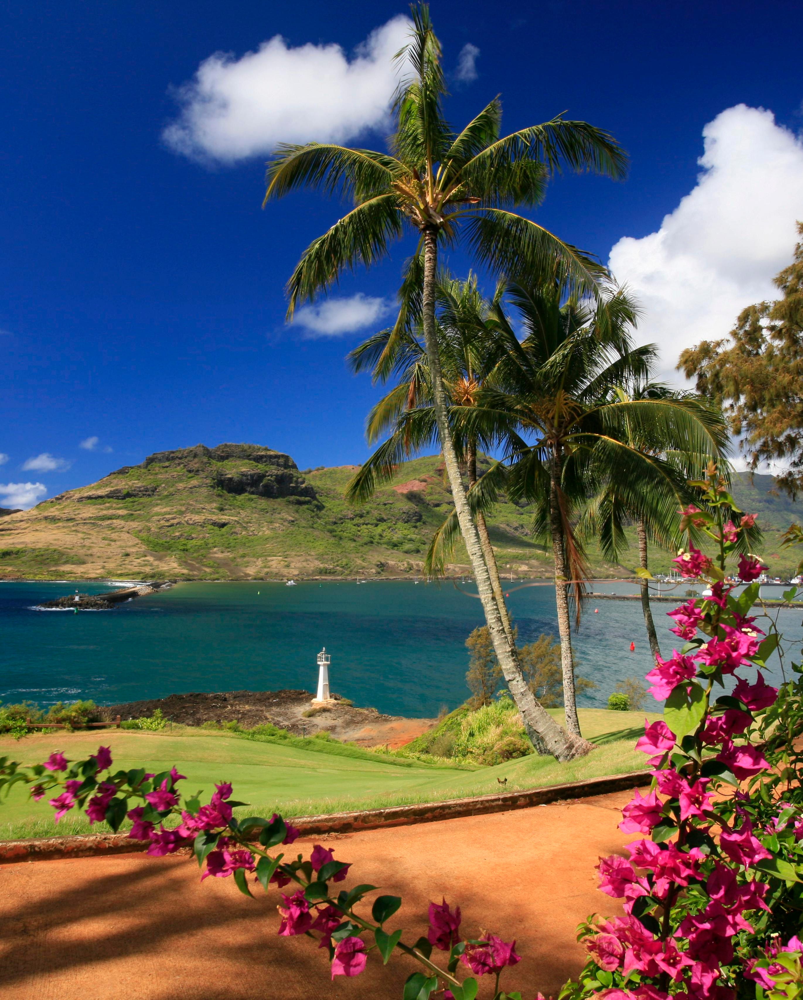 ハワイで必ず行きたい知られざる絶景のビーチ5選 - みちくさガイド