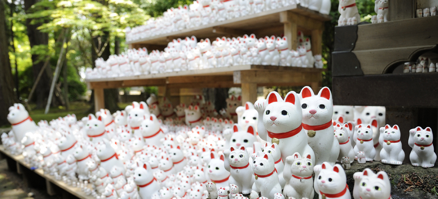 大谿山 豪徳寺 公式サイト