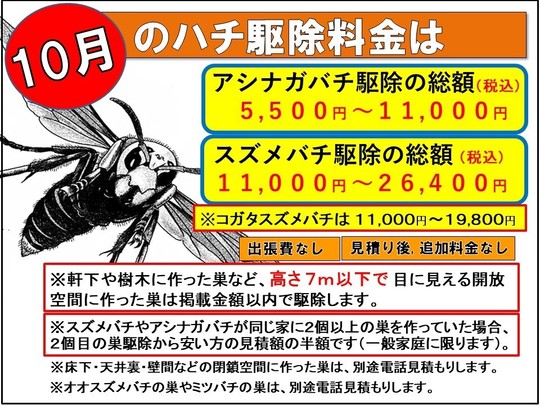 女王蜂、ルリちゃん卒業を発表 体調回復も本人から申し出「これから新たな道に進みます」【アヴちゃんらメンバーコメント全文】 |