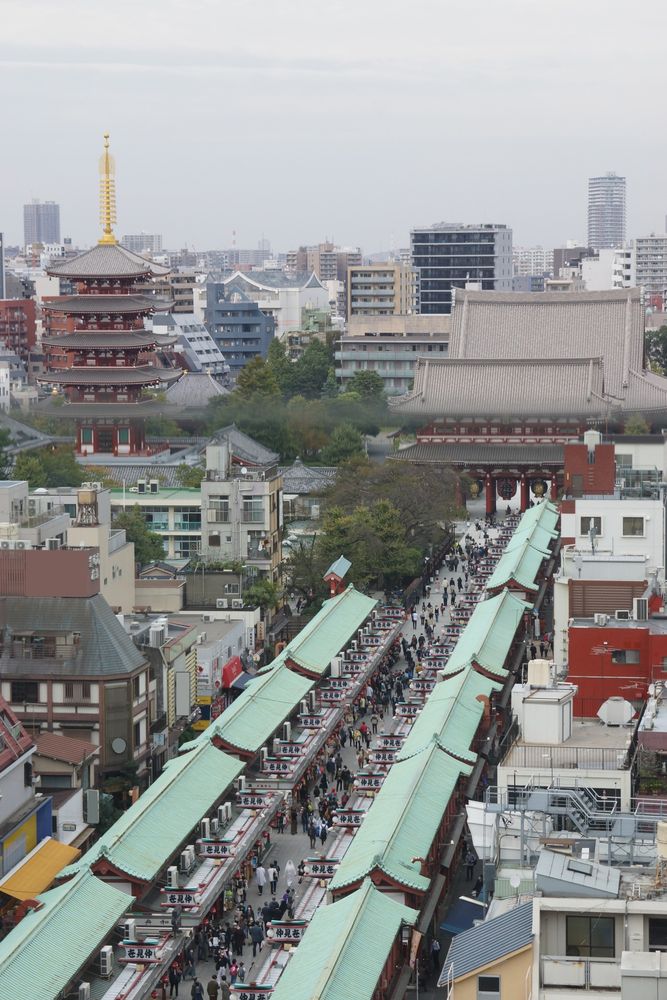 浅草・江戸まち「伝法院通り」⑤見落としがちな見どころ 111130 :