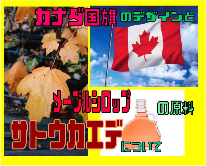 31,200点を超えるカナダ国旗のストックフォト、写真、そしてロイヤリティフリーの画像 - iStockフランス国旗,