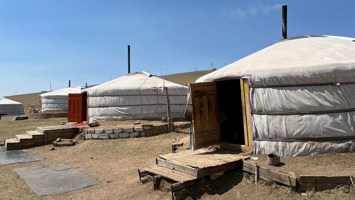 モンゴルの遊牧民が住む家・ゲルとは？その中身や特徴、歴史を覗いてみない！？株式会社アミナコレクション