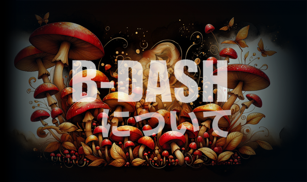 B-DASH on X: