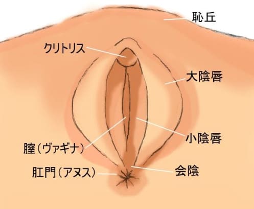 クリトリスを手マンで気持ち良くさせる方法と注意点をポイント別に解説｜Cheeek [チーク]