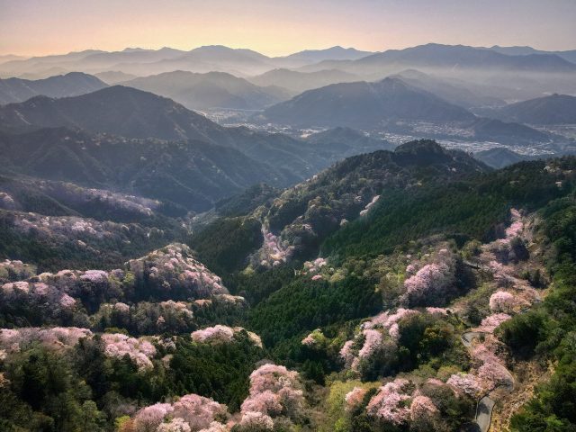 日本の祭り情報まとめ 2024