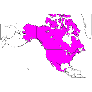南米の地図と異なる色の国のベクターイラスト。各国には首都と主要都市がある。使用するグローバルカラー。」のベクター画像素材 ロイヤリティフリー260023382Shutterstock