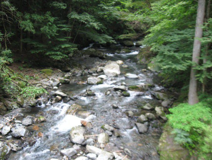 桐生川源流林に行ってきたおでかけポコ そこ実際どうだったか？体験口コミレポ