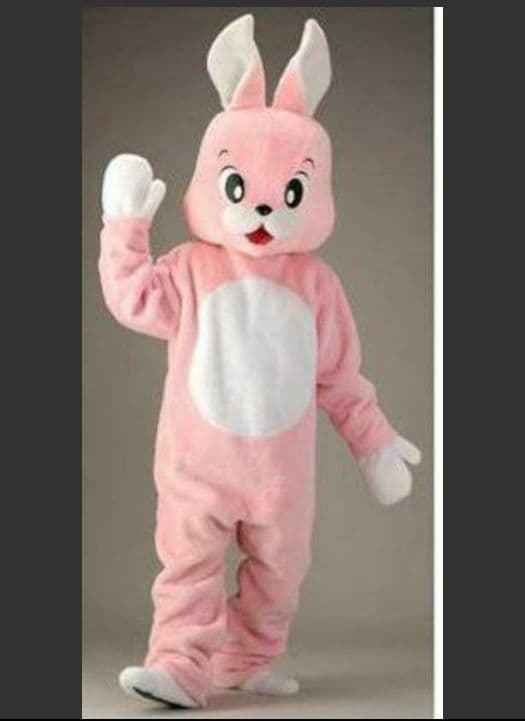 新品未使用着ぐるみ遊園地 ヤマダ ぬいぐるみ 大きめ BIG