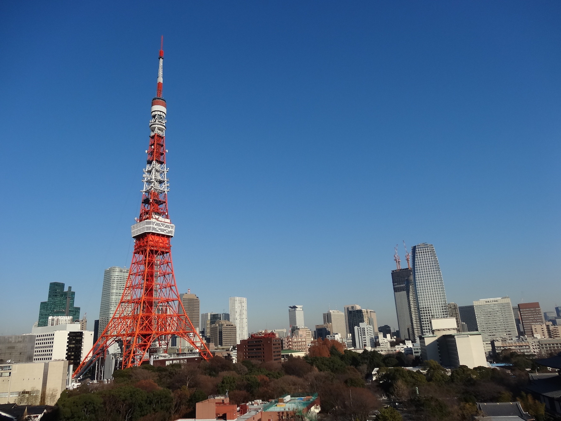 東京タワー、外から見るか、中から見るか？Discover Japanディスカバー・ジャパン