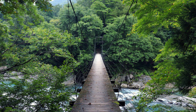 いいね！信州スゴヂカラ » 秋山郷温泉タクシーのスゴヂカラ 11月10日