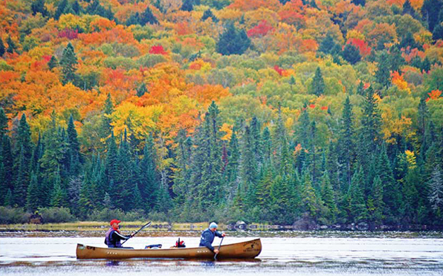 2ページ目 カナダ・オンタリオ州で「ウイスキーの旅」を