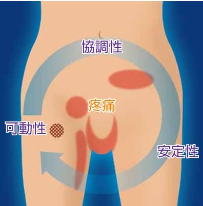 ヘルニアについて | 東鷲宮病院