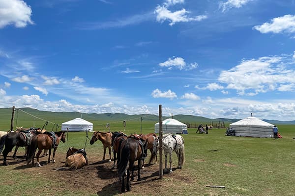 オープンロジ モンゴル遊牧民の家「ゲル」の販売を物流面で支援 ─ 物流ニュースのＬＮＥＷＳ