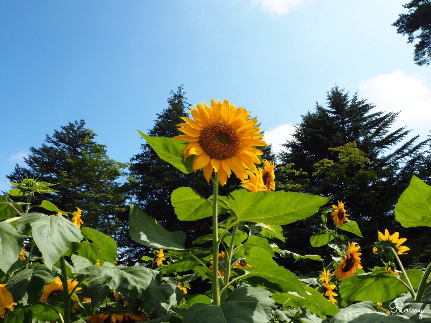 冬の軽井沢旅行がアツい理由。子連れで楽しい秘密基地ホテルも登場ESSEonline エッセ オンライン