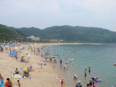 2025年最新版 極上のアマミブルーを体感！奄美大島の絶景ビーチ18選奄美ツアーズ