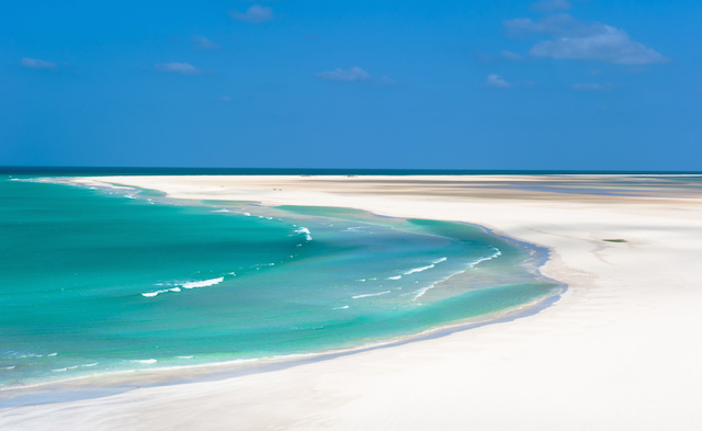 ソコトラ島とは？異世界のような不思議な絶景ばかりの世界遺産