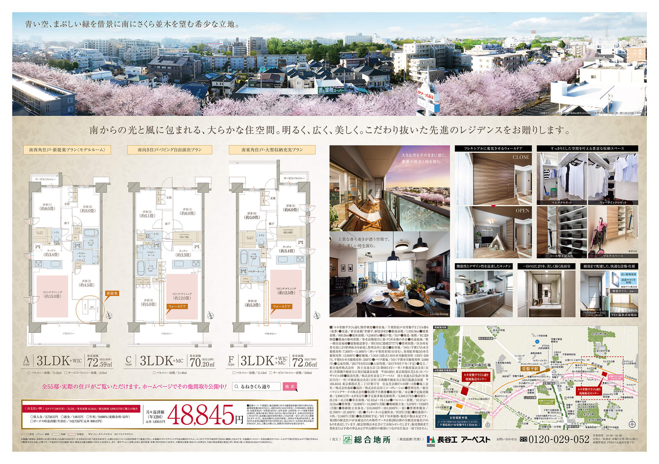 常盤平さくら通りの桜 松戸市- お花見2025 -