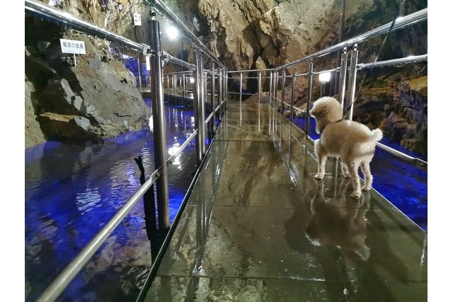 体験 – 飛騨古川さくら物産館