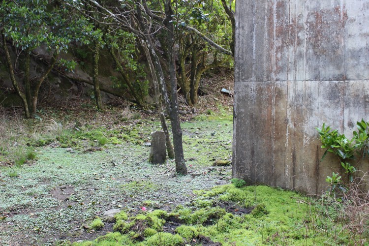 26選 幽霊の掛け軸や、テーマパークのお化け屋敷、廃病院など。熊本県にある心霊スポット 2025年最新版