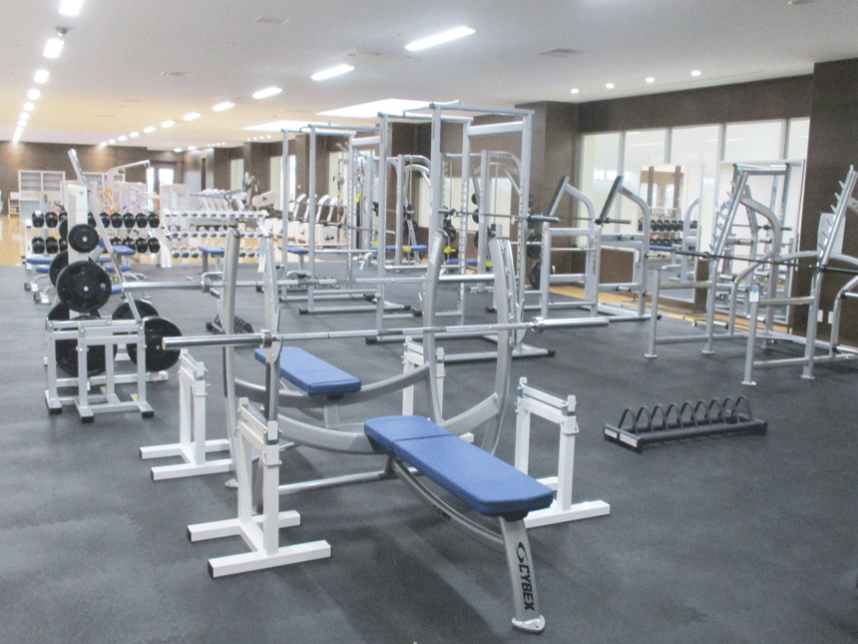 神奈川県藤沢市のプール一覧 - NAVITIME