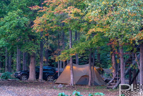 ここは札幌市中央区。すすきのから車で20分。, 都市と自然が融合する, 196万人都市を象徴するキャンプ場,