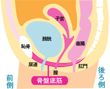 モナリザタッチ | 二宮レディースクリニック【泌尿器科・婦人科・女医・腟レーザー】 ｜大阪・心斎橋