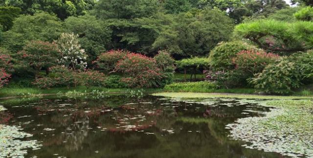 井伊谷三人衆 近藤康用の家紋 近藤割角のイラスト素材108074212- PIXTA