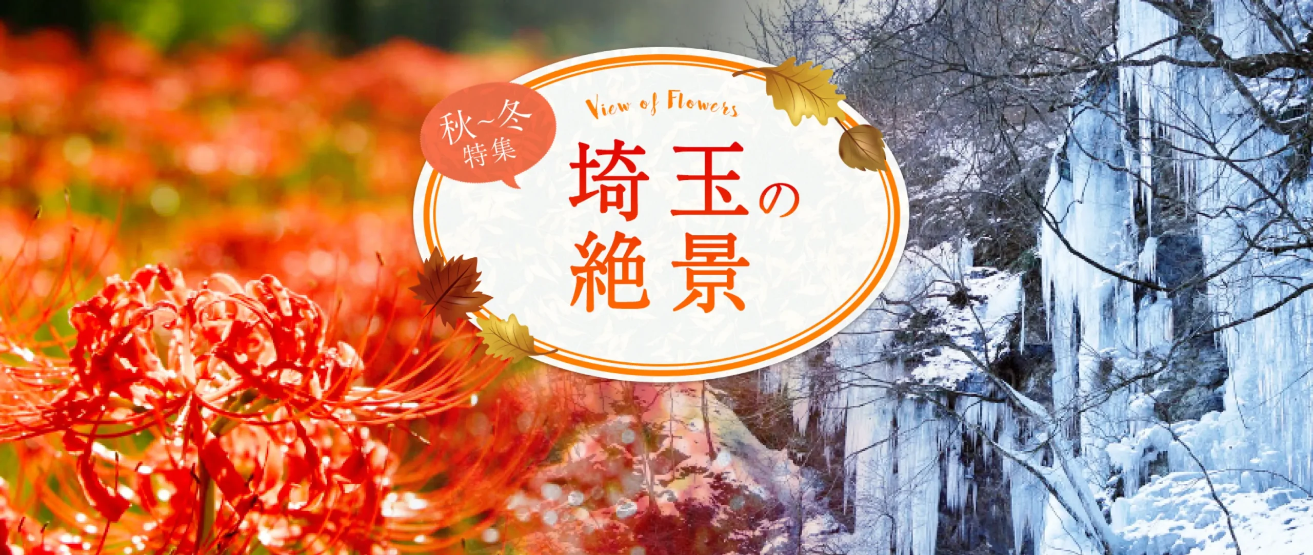 埼玉 1月おすすめ観光スポット15選！家族向けスポットも紹介VELTRA旅行ガイド